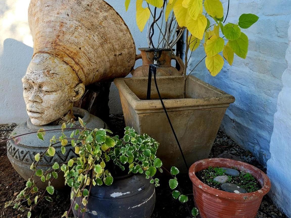 Acacia Home Graaff-Reinet Esterno foto